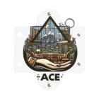 ace interiorのエースインテリアグッズ ミニクリアマルチケース