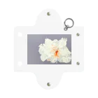 HAREBAREのAO Mini Clear Multipurpose Case