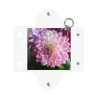 seide.blume～Ｄ＊Ｒ～のダリア Mini Clear Multipurpose Case