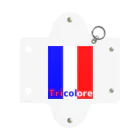 S.S.Tricoloreのトリコロールロゴ Mini Clear Multipurpose Case