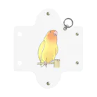 まめるりはことりの得意げ可愛い　コザクラインコちゃん【まめるりはことり】 Mini Clear Multipurpose Case