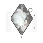 腹出し猫さんが癒しますの腹出しネコさん Mini Clear Multipurpose Case