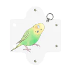 まめるりはことりの首傾げセキセイインコ　ピーちゃん【まめるりはことり】 Mini Clear Multipurpose Case