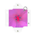 Gking Laboの花。 Mini Clear Multipurpose Case
