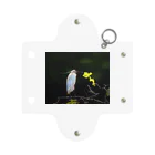 Isseyの白鷺 Mini Clear Multipurpose Case