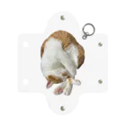 mellokkomaのえび風コマ Mini Clear Multipurpose Case