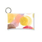 Ami Matsuzawa-Danfordの華やかポピー Mini Clear Multipurpose Case