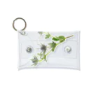 Ficusのエリンジューム Mini Clear Multipurpose Case