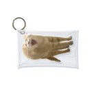 茶トラねこずのあくび猫のシロ Mini Clear Multipurpose Case