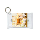 3pomeranian-leo-house　グッズショップのPomeranianlovers　ポメラニアン Mini Clear Multipurpose Case