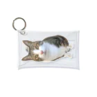 ねこぽてちのポテチくん Mini Clear Multipurpose Case