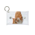 dszsdfdのこうばこねこねこ Mini Clear Multipurpose Case