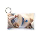 猫と紡ぐ物語の南国の海辺を歩く勇ましさに胸キュン猫 Mini Clear Multipurpose Case