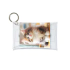 Creation CATのゴージャスCAT Mini Clear Multipurpose Case