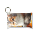 癒しの時間のかわいい三毛猫グッズ Mini Clear Multipurpose Case