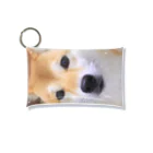 kawaii柴犬のkawaii柴犬 Mini Clear Multipurpose Case