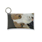 Makiartの犬のふとしたまなざし Mini Clear Multipurpose Case