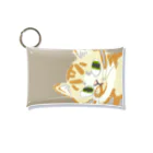 agehachicat’s storeのどらねこトラねこ ミニクリアマルチケース