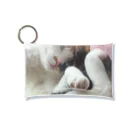 モモさんショップの愛猫モモ Mini Clear Multipurpose Case