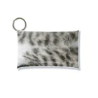 fumaruの猫shopのこねこのおなか Mini Clear Multipurpose Case