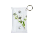 Ficusのエリンジューム Mini Clear Multipurpose Case