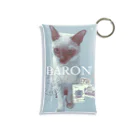 BARONのtravel antique Mini Clear Multipurpose Case