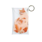 takocatのイモート腹出し・起 Mini Clear Multipurpose Case