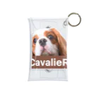 CavalieR【キャバリアール】のCavalieR キャバリア ミニクリアマルチケース