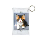 きじねこ屋のねこ ぐっず 3 Mini Clear Multipurpose Case