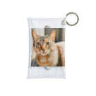 かわいいどうぶつのかわいい猫がプリントされたグッズ Mini Clear Multipurpose Case