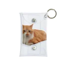 dszsdfdのこうばこねこねこ Mini Clear Multipurpose Case