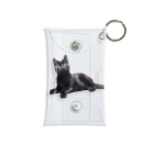 日向ぼっこの黒猫ちも Mini Clear Multipurpose Case