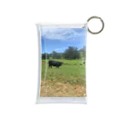 YASUE ABE JPのFarm Mini Clear Multipurpose Case