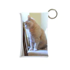 ねこかわたすかるのねこかわたすかる9 Mini Clear Multipurpose Case