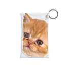 ぶったまショップの子猫のたまちゃん Mini Clear Multipurpose Case