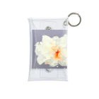 HAREBAREのAO Mini Clear Multipurpose Case