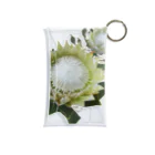 flower & Plants EdenのWild Flower キングプロテア Mini Clear Multipurpose Case