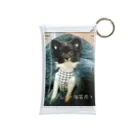 おませ工芸の猫になりたい子犬の海苔彦 Mini Clear Multipurpose Case