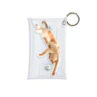 kihbouののびゾエキャット Mini Clear Multipurpose Case