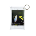 Isseyの白鷺 Mini Clear Multipurpose Case