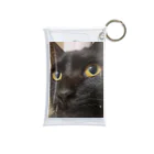 サンサウンドの黒猫天ちゃん Mini Clear Multipurpose Case