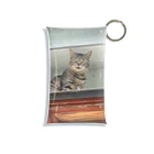 猫のウロコの屋根猫 Mini Clear Multipurpose Case