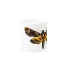 insectech.comのクロメンガタスズメ Mug :other side of the handle
