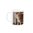 にこねこ【保護猫の保育園】の「ボクがこっちゃんをまもるんだ」マグカップが登場！ Mug :left side of the handle