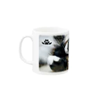 Cat in the Light（光の中の猫）の【猫】眠るキジトラ Sleeping Beat-001 Mug :left side of the handle