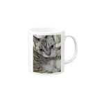 ねこの森でお散歩のフッワフワのシャムミックス Mug :right side of the handle