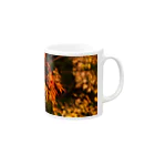 nokkccaのライトアップ紅葉 - Japanese maple(night shot) - Mug :right side of the handle