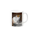 IMASAのボス猫 Mug :right side of the handle