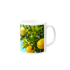 くろすけの夏みかん Mug :right side of the handle