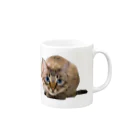 bitpiyoのねこちゃん Mug :right side of the handle